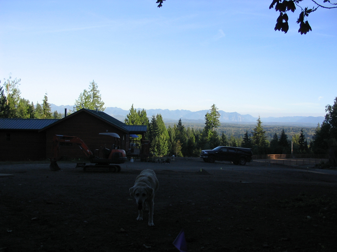 Dog in foreground.jpg 508.4K